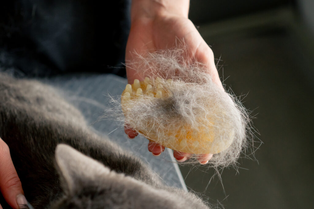 A closeup on a hand holding a brush filled with dog hair. 